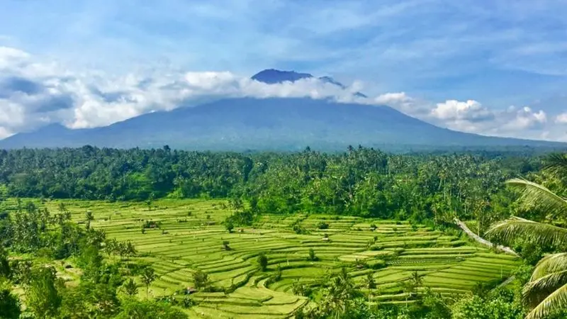 Scenic view of Bukit Jambul Rice Terrace in East Bali
