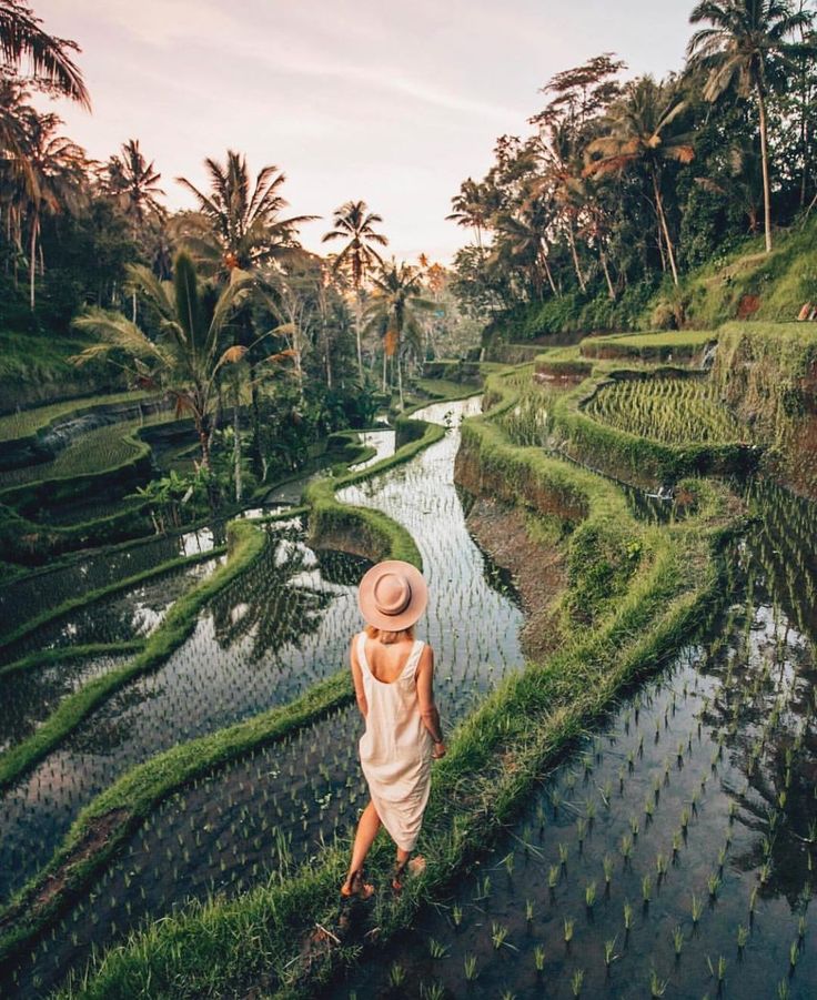 Tegalalang Rice Terrace: A Guide to Bali’s Famous Terraced Fields